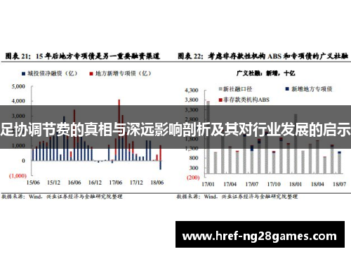 足协调节费的真相与深远影响剖析及其对行业发展的启示 足协调节费的真相与深远影响剖析及其对行业发展的启示