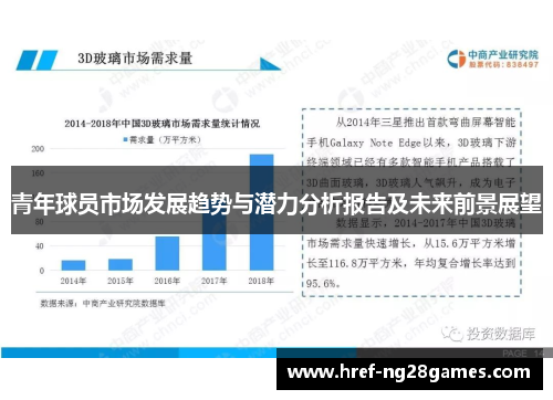 青年球员市场发展趋势与潜力分析报告及未来前景展望