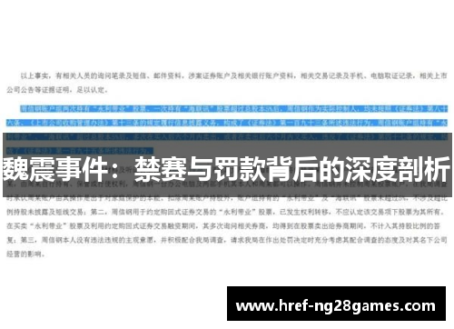 魏震事件：禁赛与罚款背后的深度剖析
