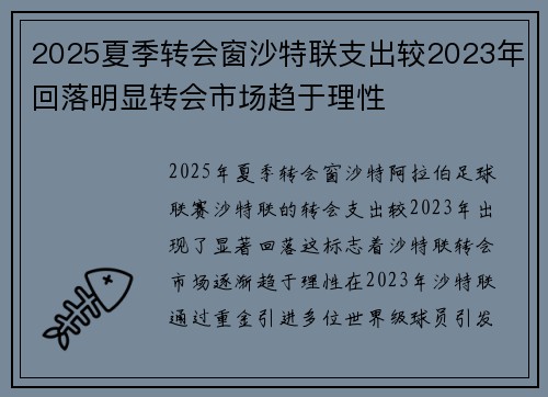 2025夏季转会窗沙特联支出较2023年回落明显转会市场趋于理性